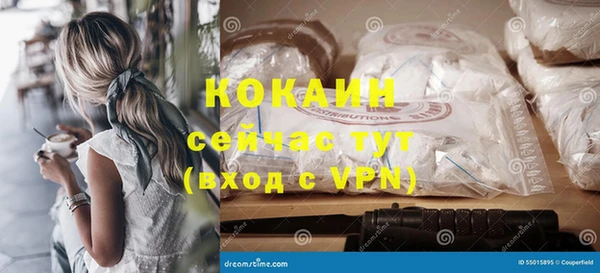 шишки Армянск